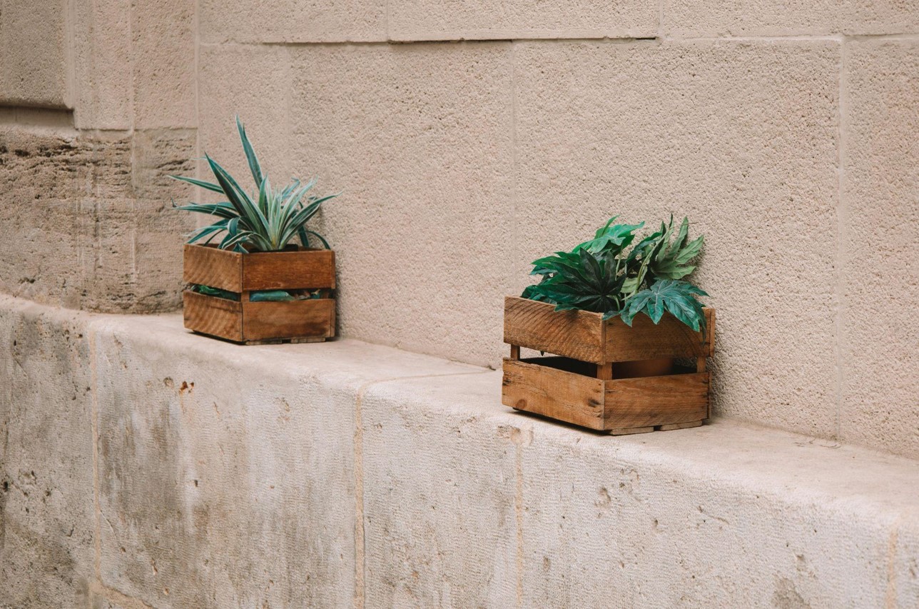 Enhance Designs with Stylish Artificial Trees